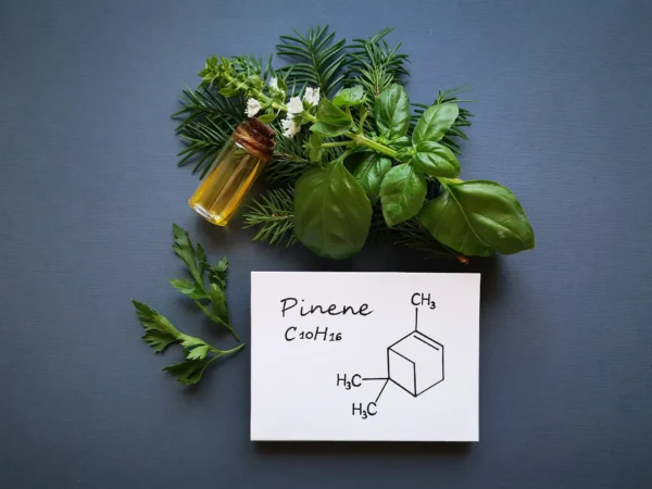 Terpene verstehen: Warum Ihre CBD-Kunden immer wieder zur gleichen Sorte zurückkehren